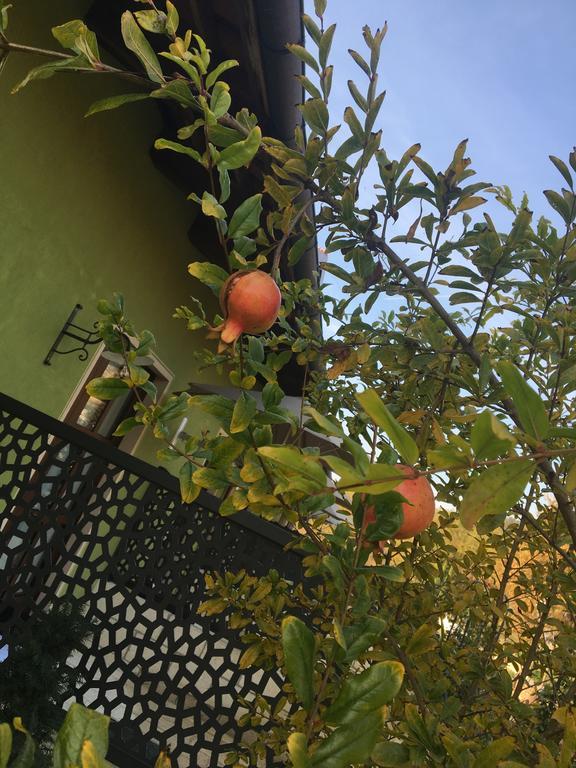 Agriturismo Da Mamma Alba Kültér fotó